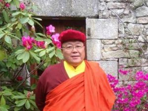Visita de Vn. Dubpön Ngawang, representante del Gyalwang Drukpa en Europa